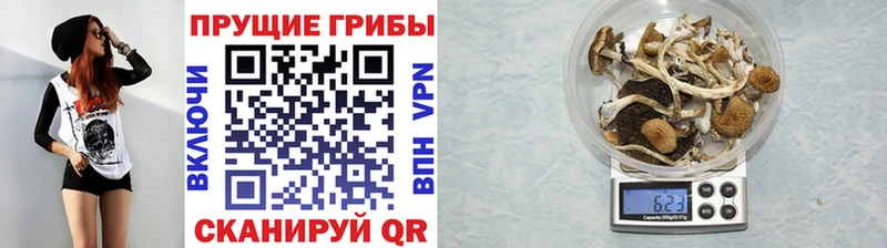Псилоцибиновые грибы ЛСД Барыш